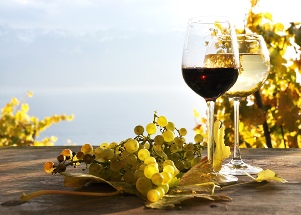 vins